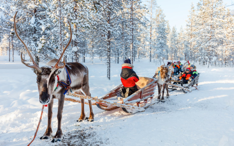 Festive Polar Escape – December 2026